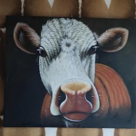 Les 4 Saisons Hotel *