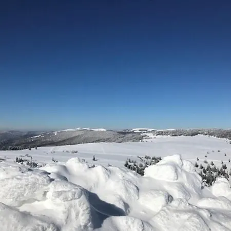 Les 4 Saisons Hotel Kruth