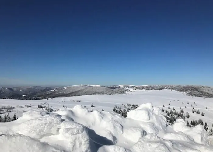 Les 4 Saisons Hotel Kruth