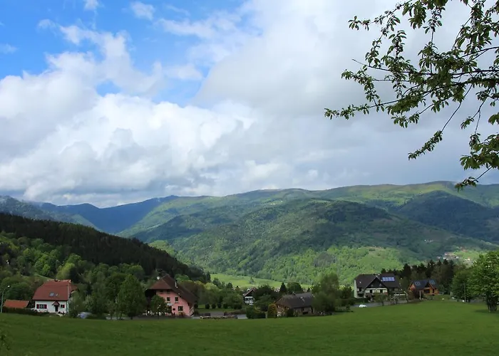 Hotel Les 4 Saisons Kruth